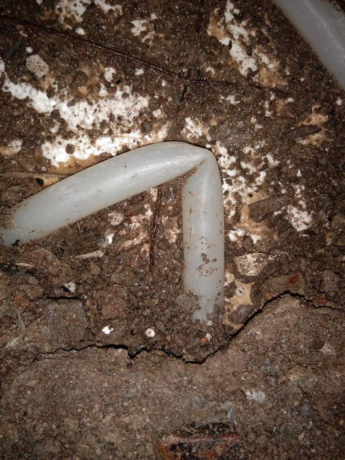 张家川堵点精准查找